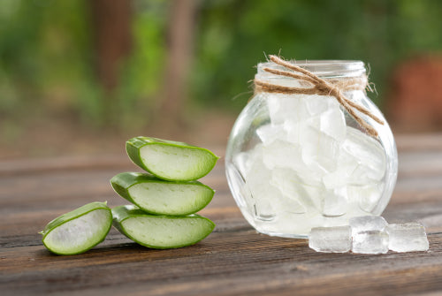 Breaking Down the Healing Power of Aloe Vera