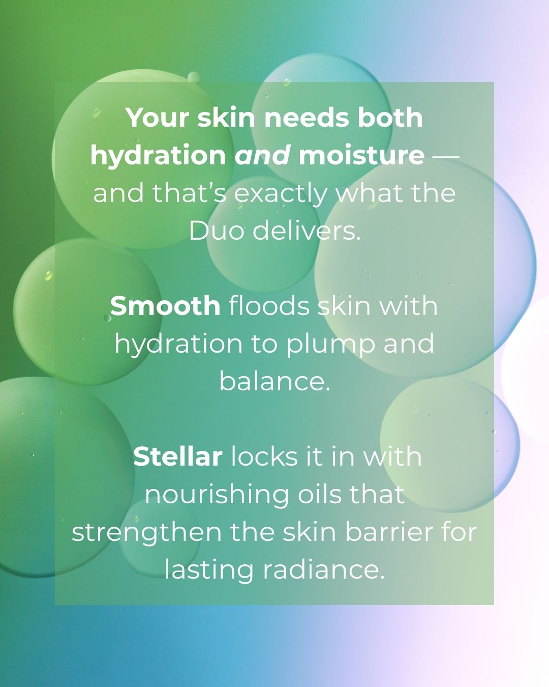 Mist and Moisture Repair Kit